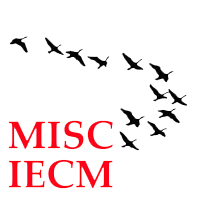 The Logo for MISC: depicting a flock of geese flying in a V-shape