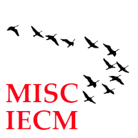The Logo for MISC: depicting a flock of geese flying in a V formation
